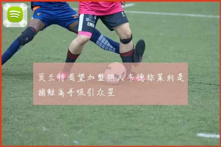 莫兰特渴望加盟热火韦德称莱利是捕鲸高手吸引众星